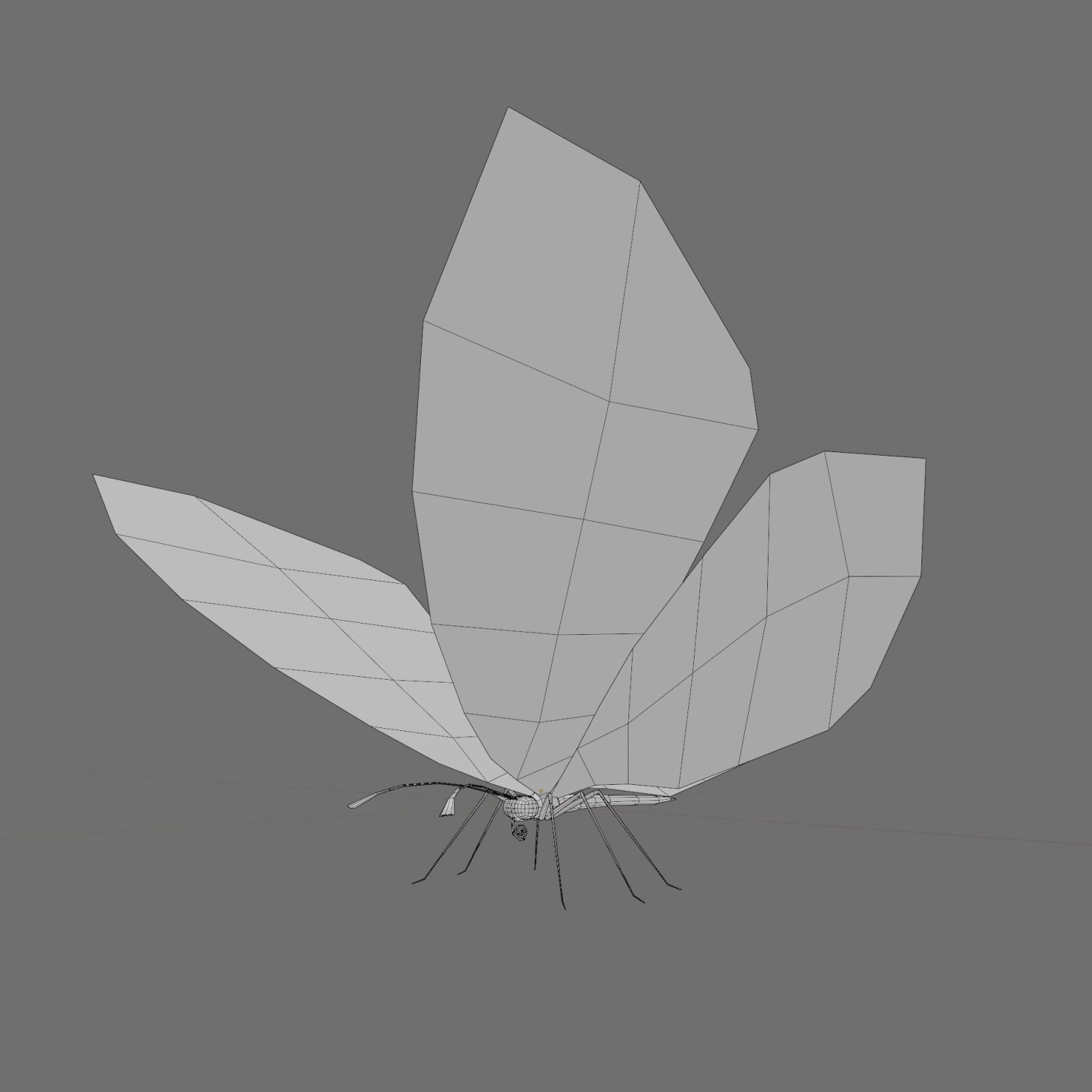 (Free 3D butterfly rigged lowpoly model  2021)