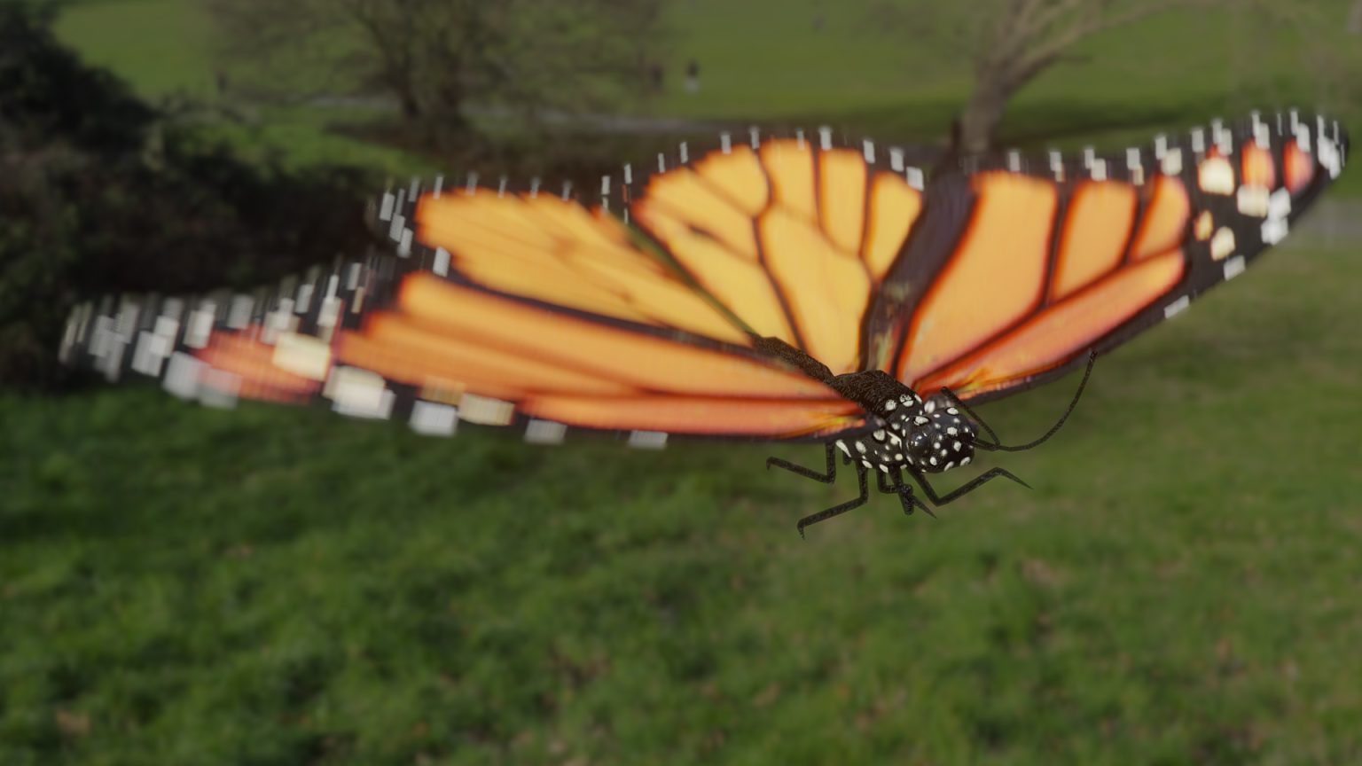 (Free butterfly rigged animate 3D  2020)