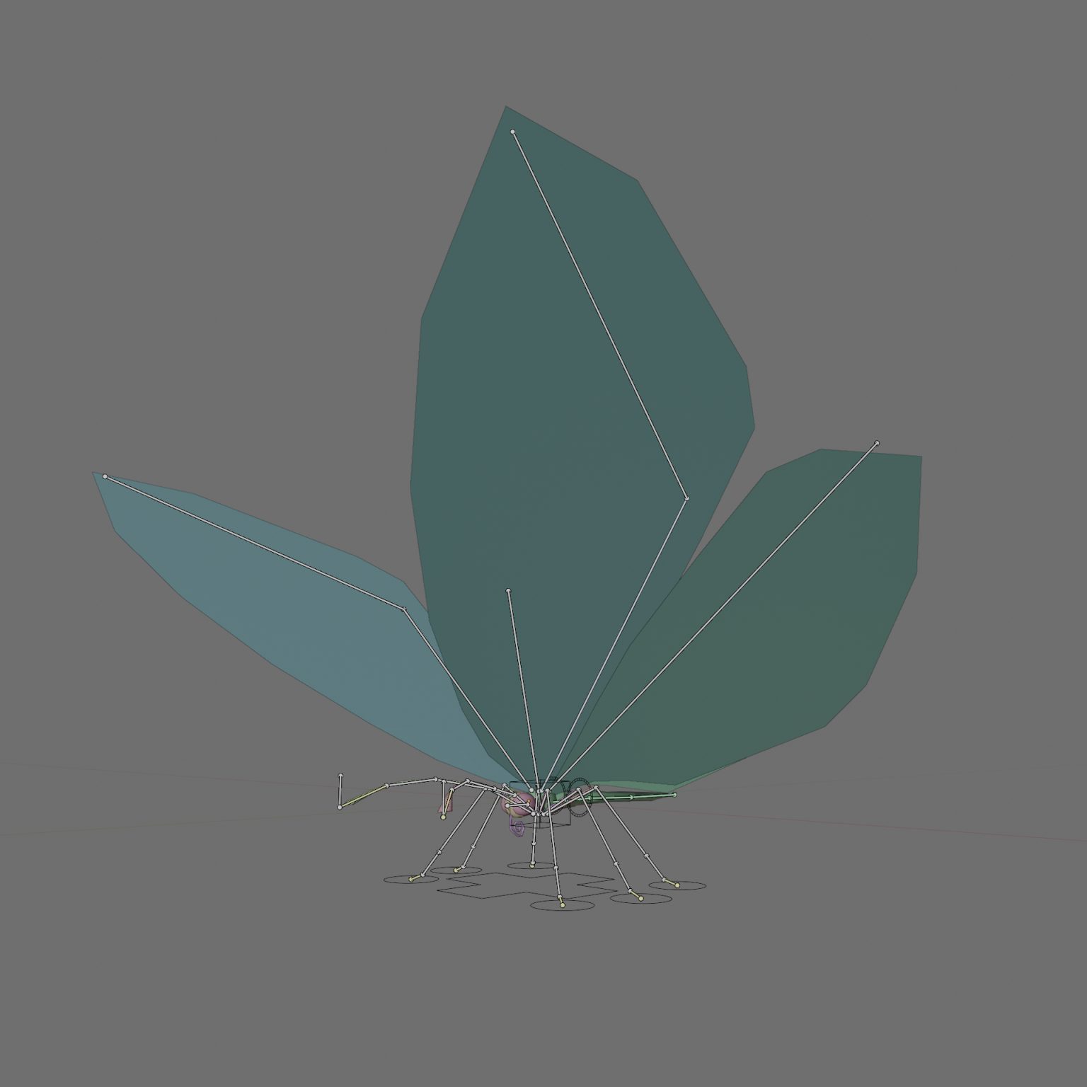 (Free 3D butterfly rigged lowpoly model  2021)